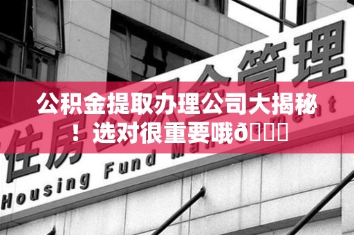 丰泽公积金提取办理公司大揭秘！选对很重要哦😎